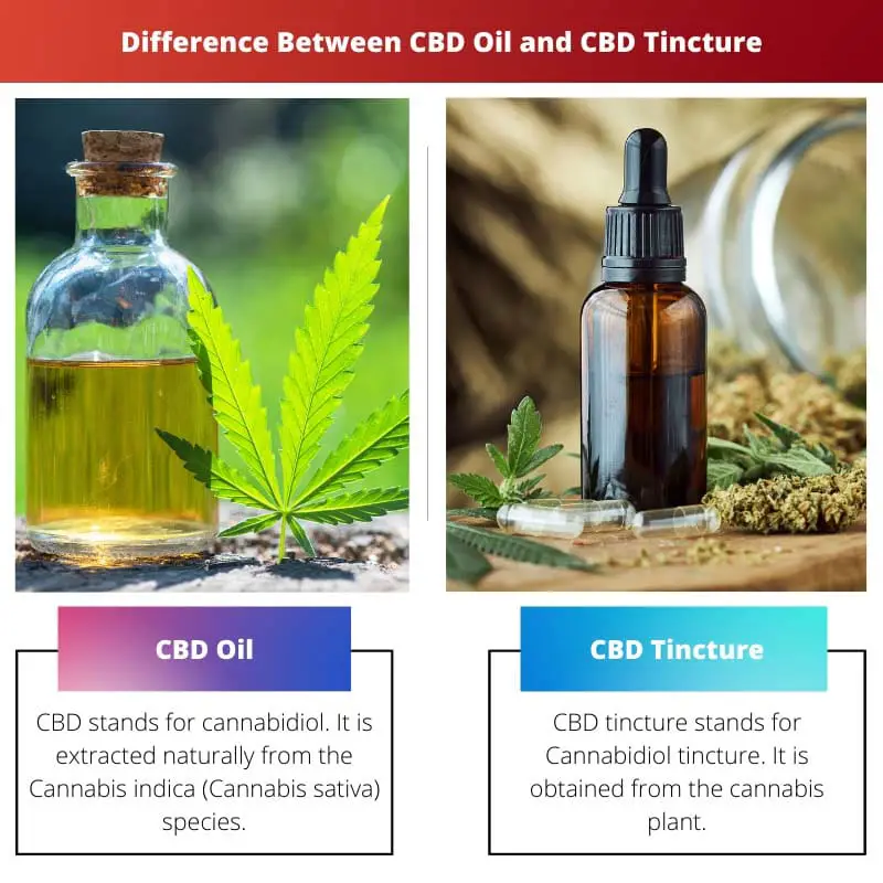 Difference Between CBD Oil and CBD Tincture