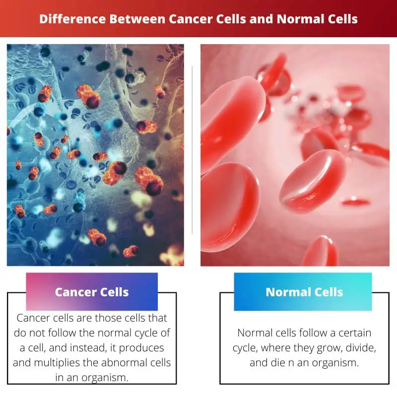 Difference Between Cancer Cells and Normal Cells