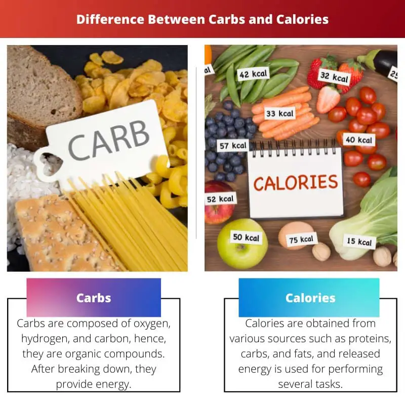 Difference Between Carbs and Calories