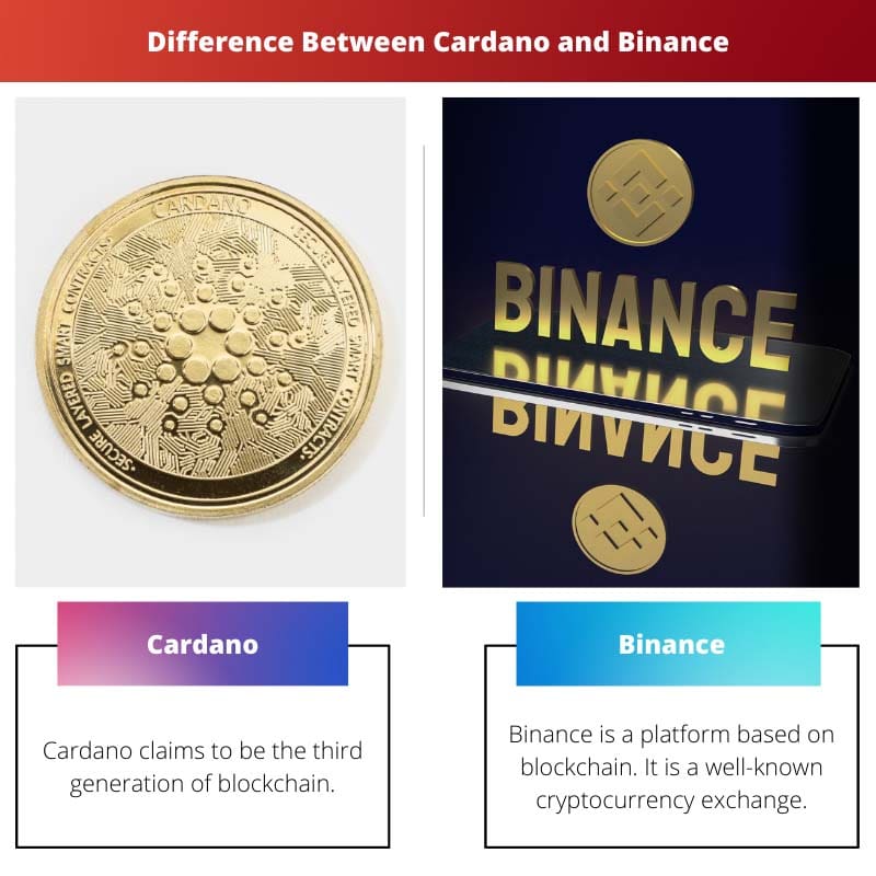 Difference Between Cardano and Binance