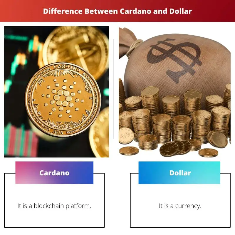 Difference Between Cardano and Dollar
