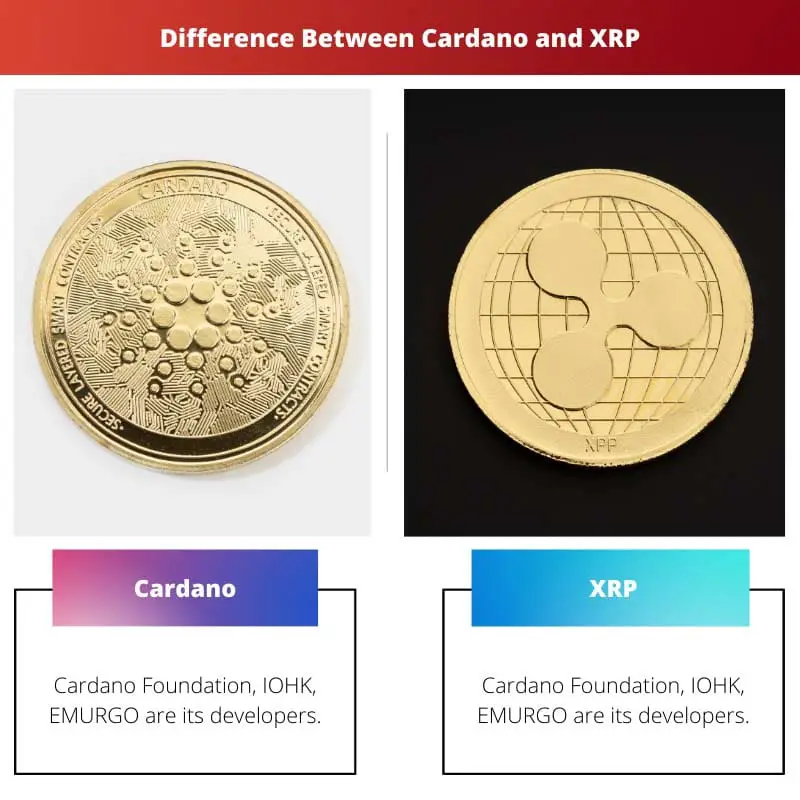 Difference Between Cardano and XRP