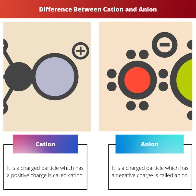 Difference Between Cation and Anion