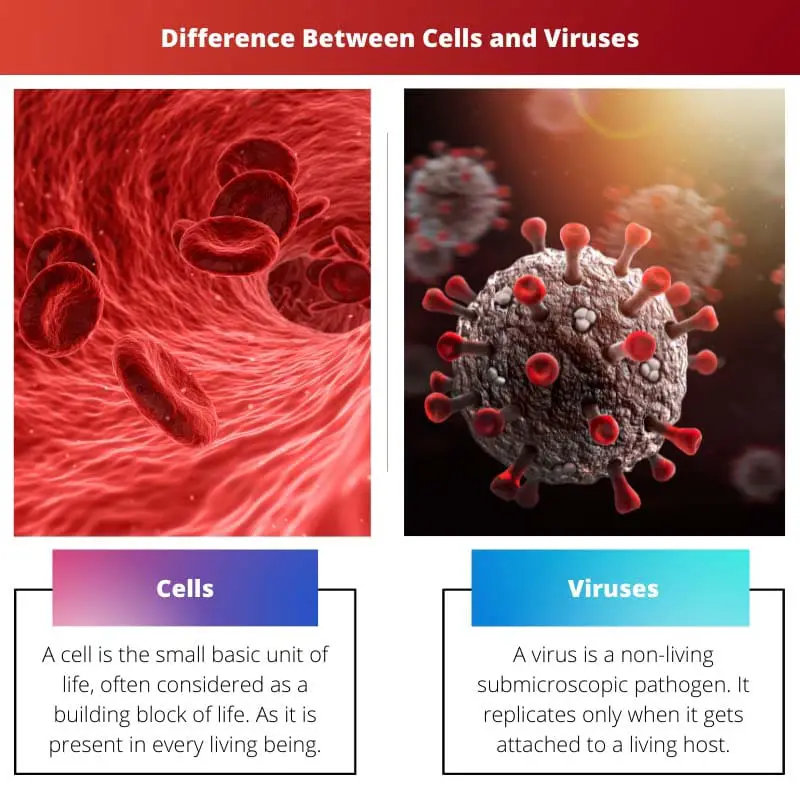 Difference Between Cells and Viruses