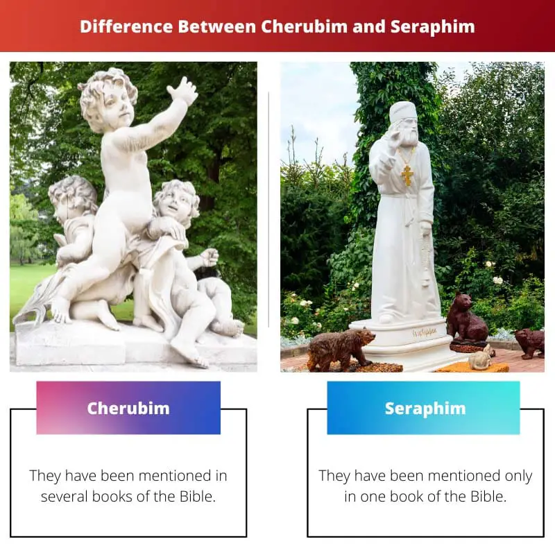 Difference Between Cherubim and Seraphim