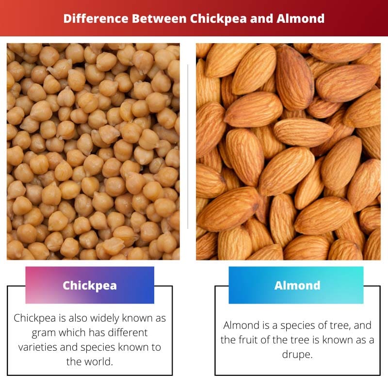 Difference Between Chickpea and Almond