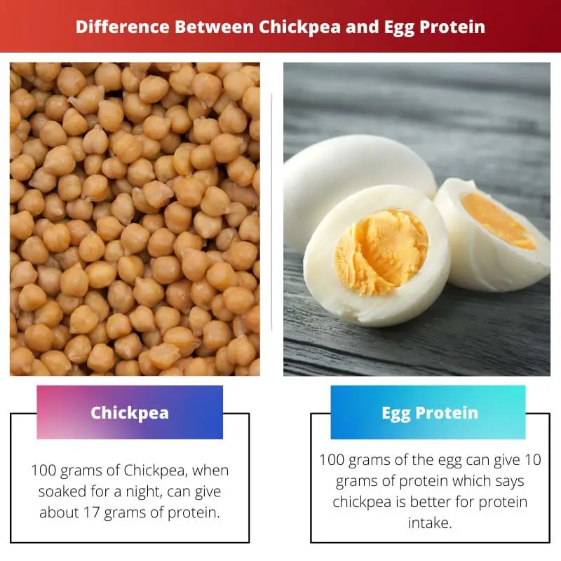 Difference Between Chickpea and Egg Protein