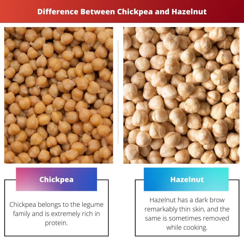 Difference Between Chickpea and Hazelnut