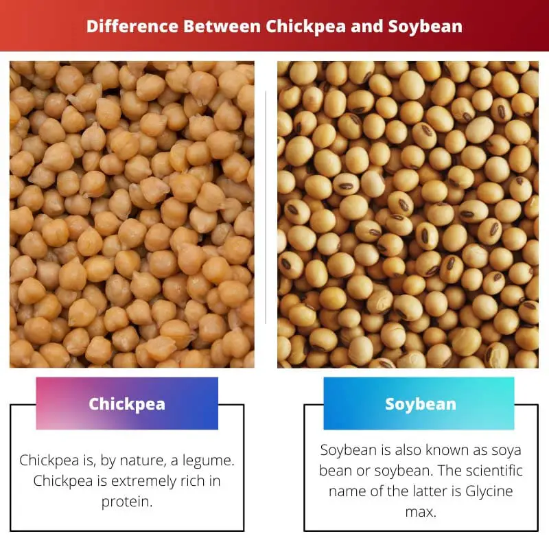 Difference Between Chickpea and Soybean
