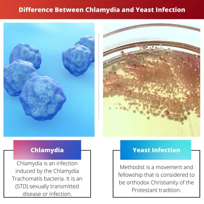 Difference Between Chlamydia and Yeast Infection