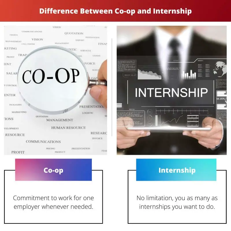Difference Between Co op and Internship