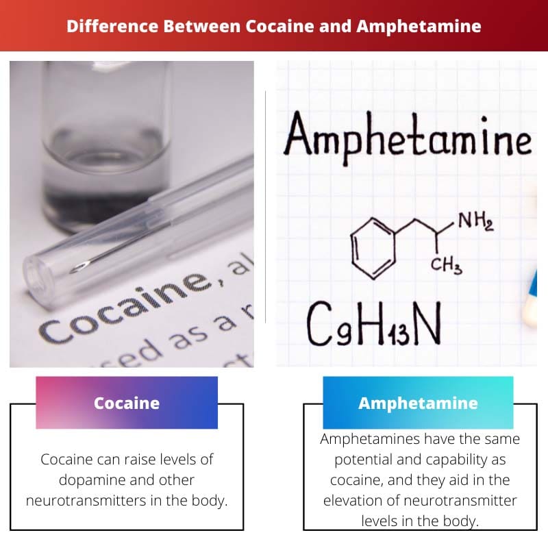 Difference Between Cocaine and Amphetamine