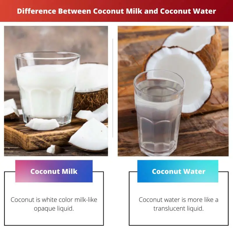 Difference Between Coconut Milk and Coconut Water