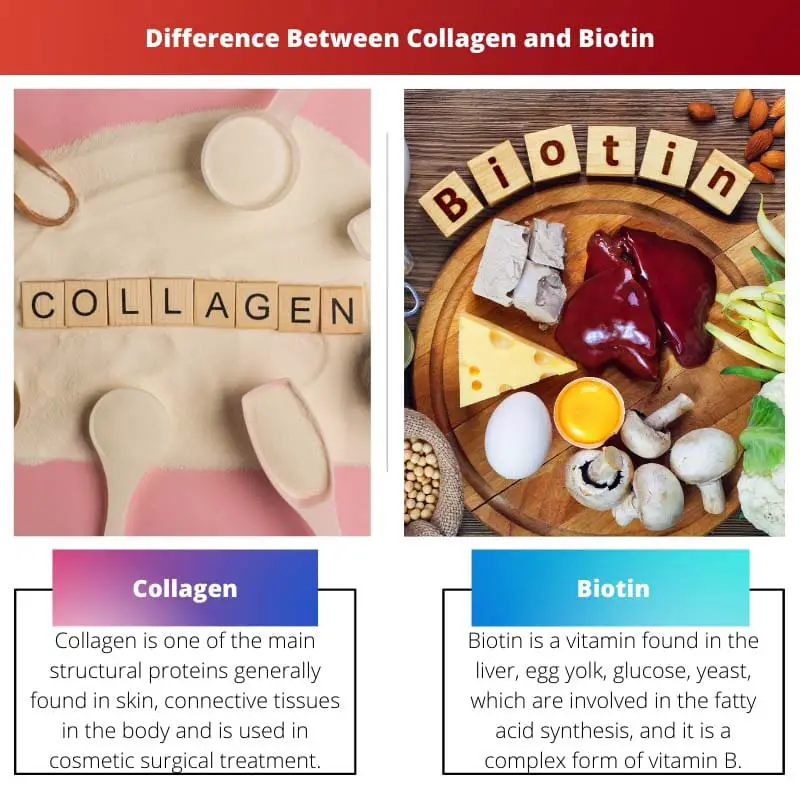 Difference Between Collagen and Biotin