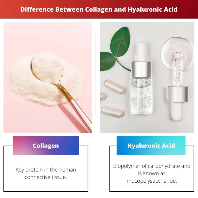 Difference Between Collagen and Hyaluronic Acid