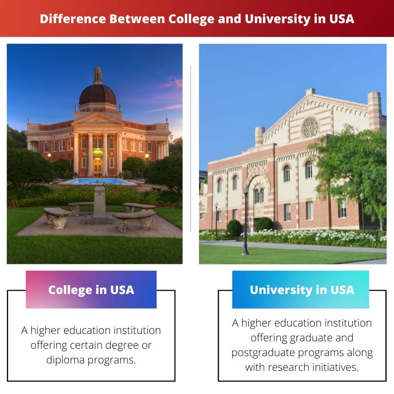 Difference Between College and University in USA