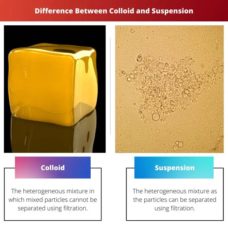 Difference Between Colloid and Suspension