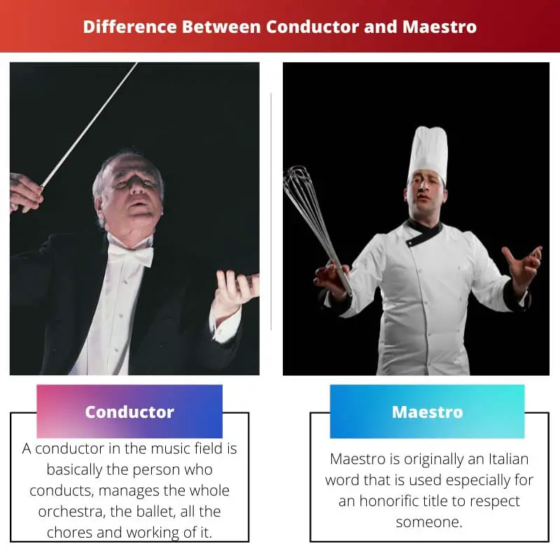 Difference Between Conductor and Maestro