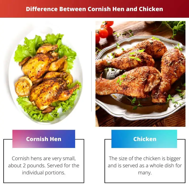 Difference Between Cornish Hen and Chicken
