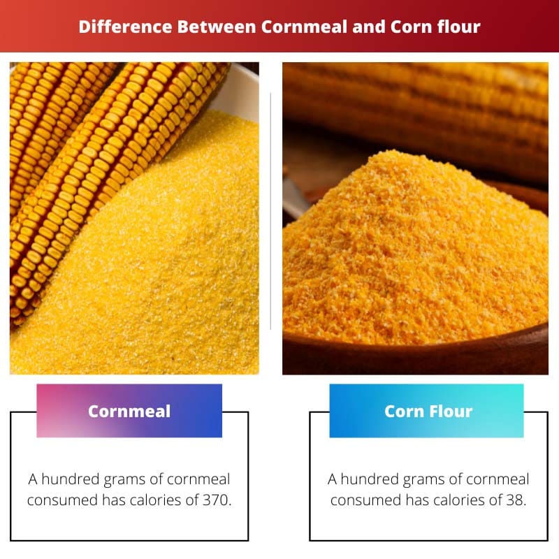 Difference Between Cornmeal and Corn flour