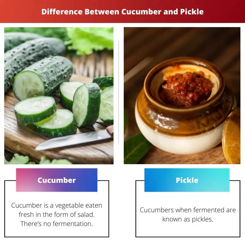 Difference Between Cucumber and Pickle