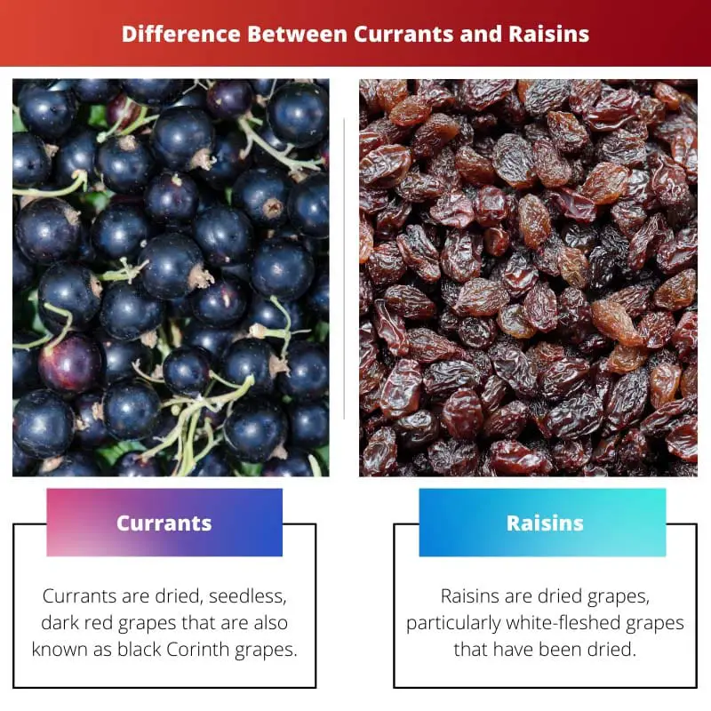 Difference Between Currants and Raisins