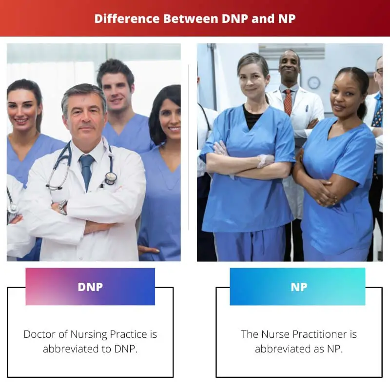 Difference Between DNP and NP