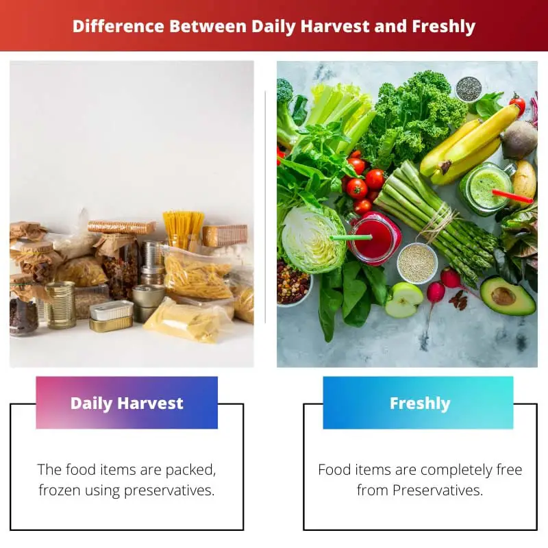 Difference Between Daily Harvest and Freshly
