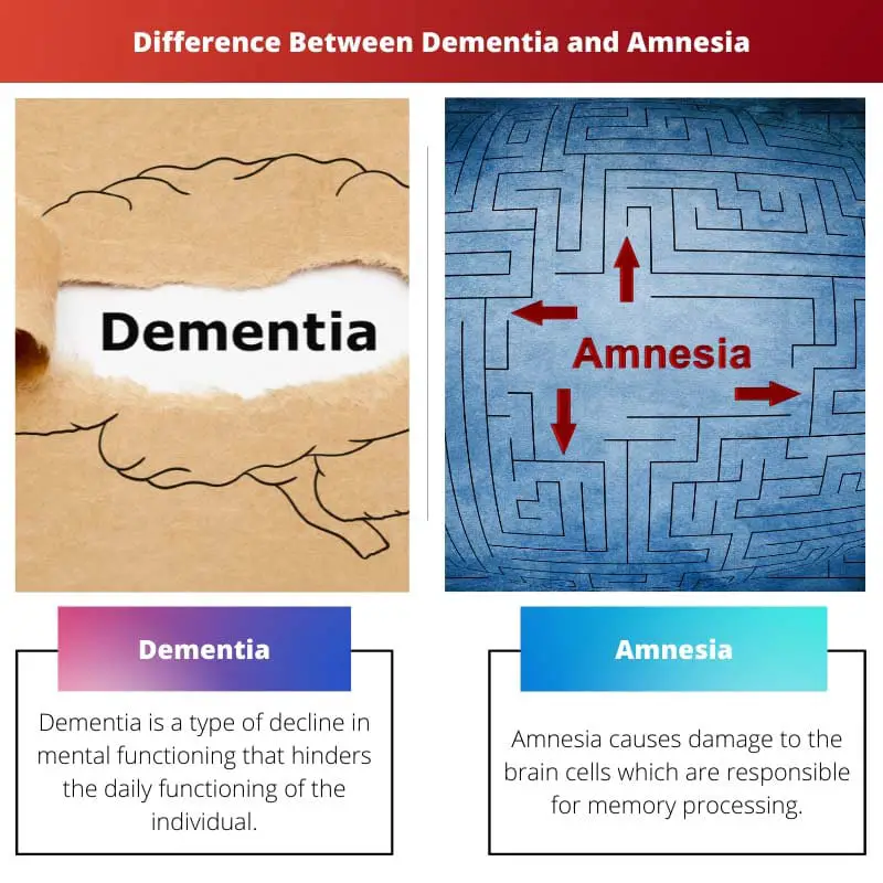 Difference Between Dementia and Amnesia
