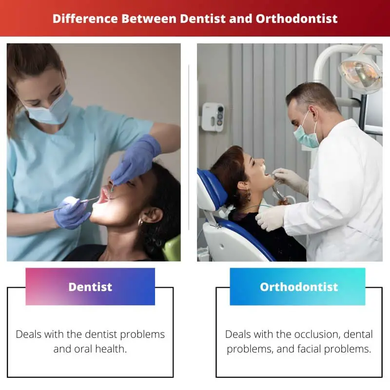 Difference Between Dentist and Orthodontist