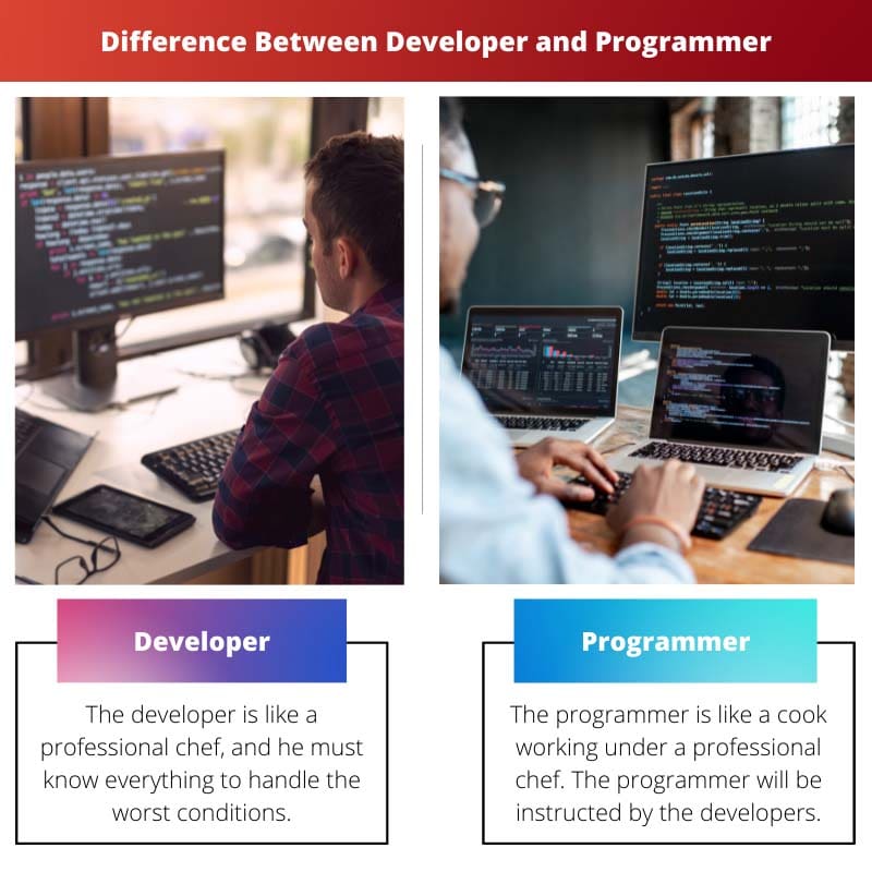 Difference Between Developer and Programmer