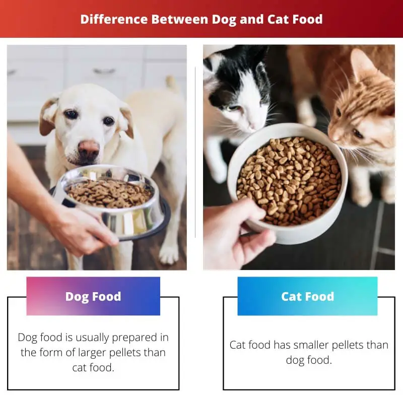 Difference Between Dog and Cat Food