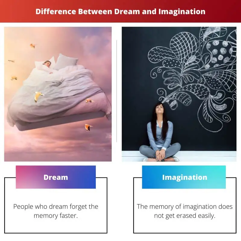 Difference Between Dream and Imagination