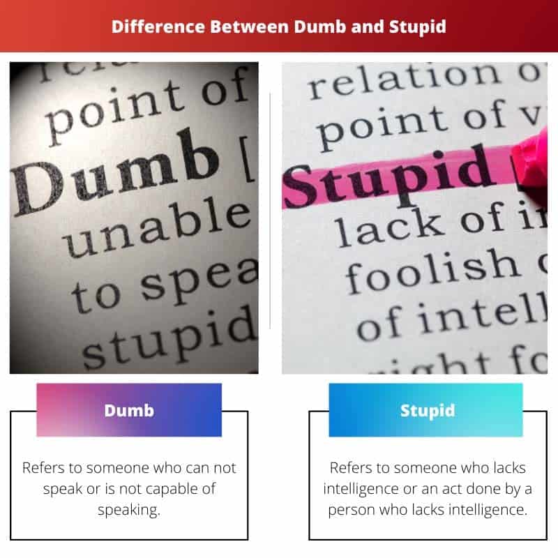 difference-between-dumb-and-stupid