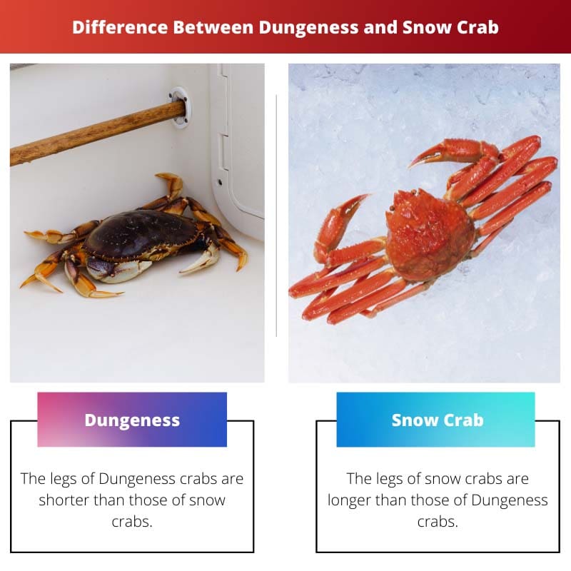 Difference Between Dungeness and Snow Crab