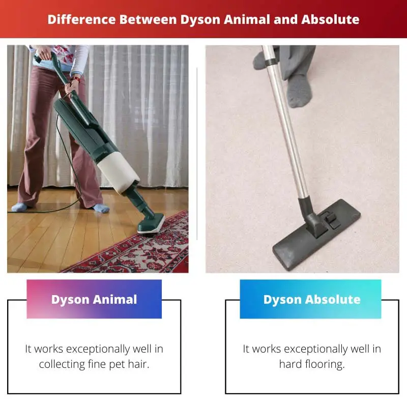 Difference Between Dyson Animal and Absolute