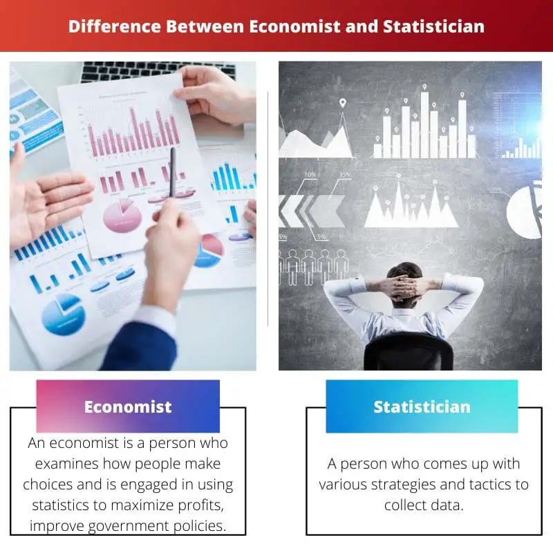 Difference Between Economist and Statistician