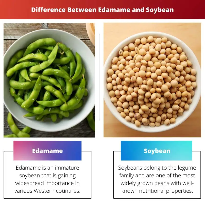 Difference Between Edamame and Soybean