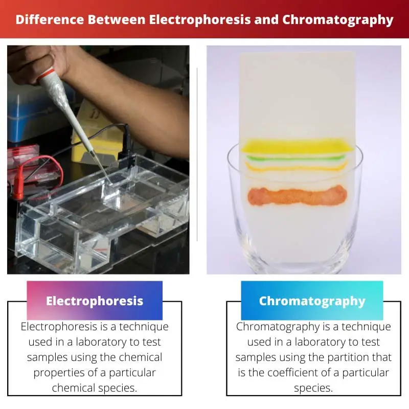 Difference Between Electrophoresis and Chromatography