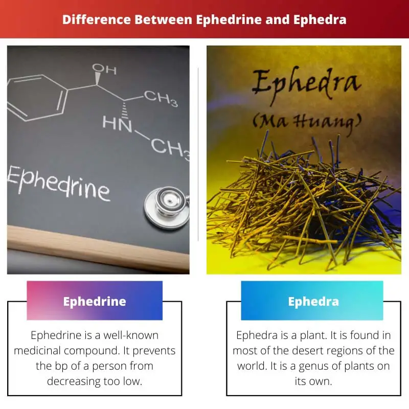 Difference Between Ephedrine and Ephedra