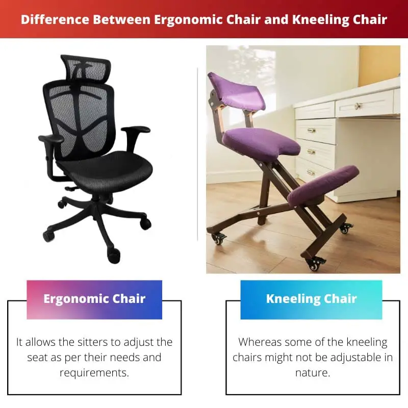 Difference Between Ergonomic Chair and Kneeling Chair