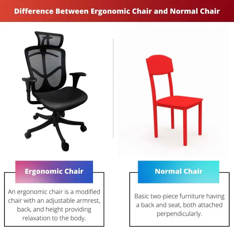 Difference Between Ergonomic Chair and Normal Chair