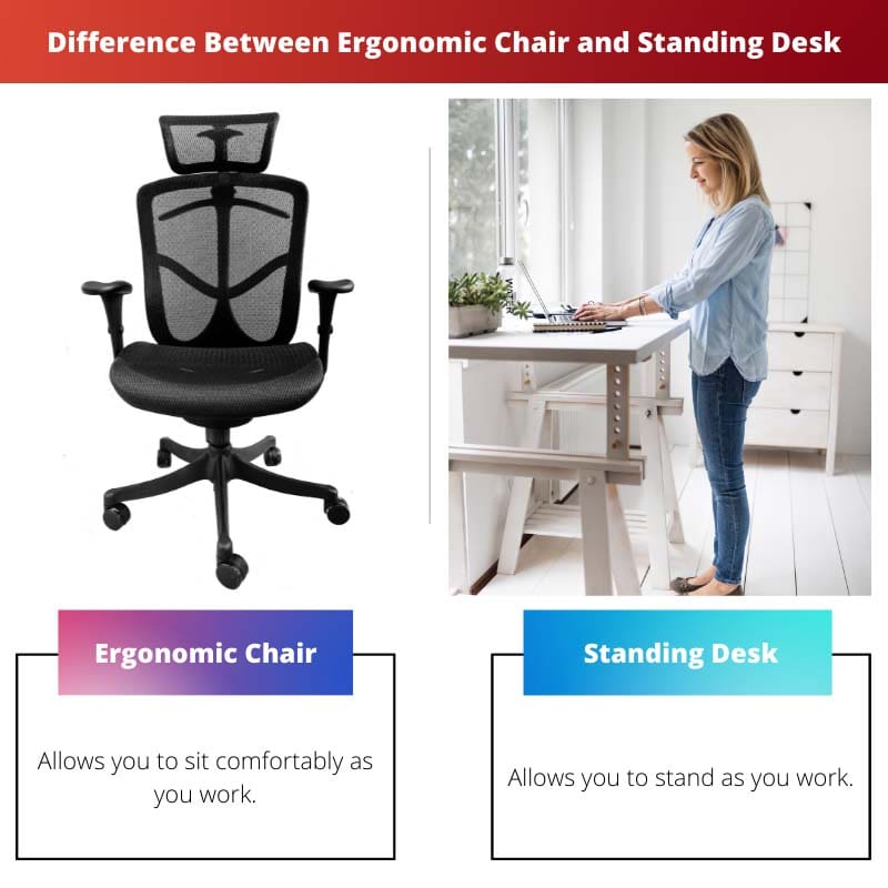 Difference Between Ergonomic Chair and Standing Desk