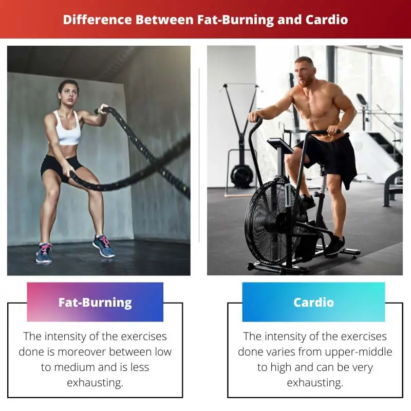 Difference Between Fat Burning and Cardio