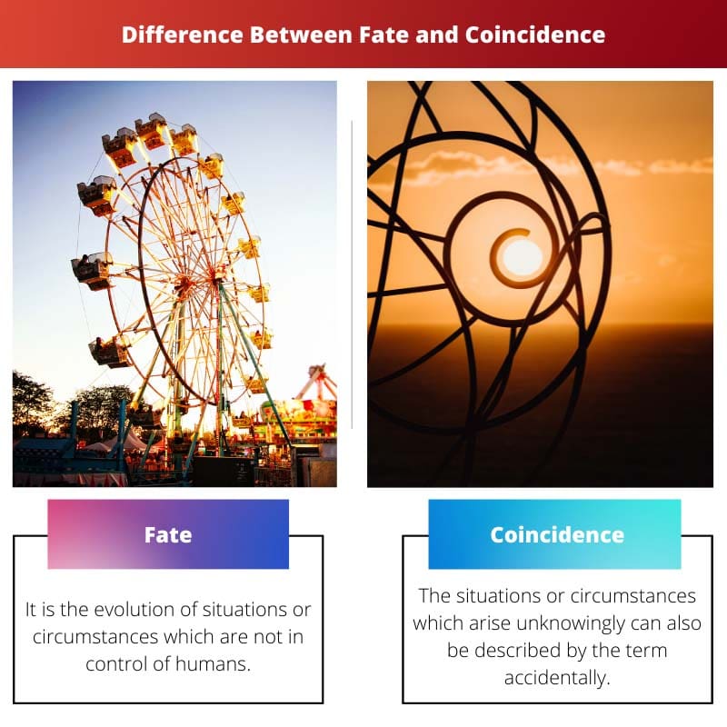 Difference Between Fate and Coincidence