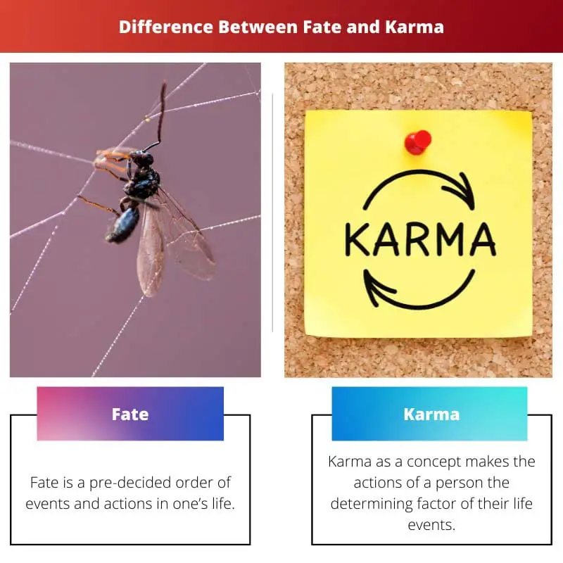 Difference Between Fate and Karma