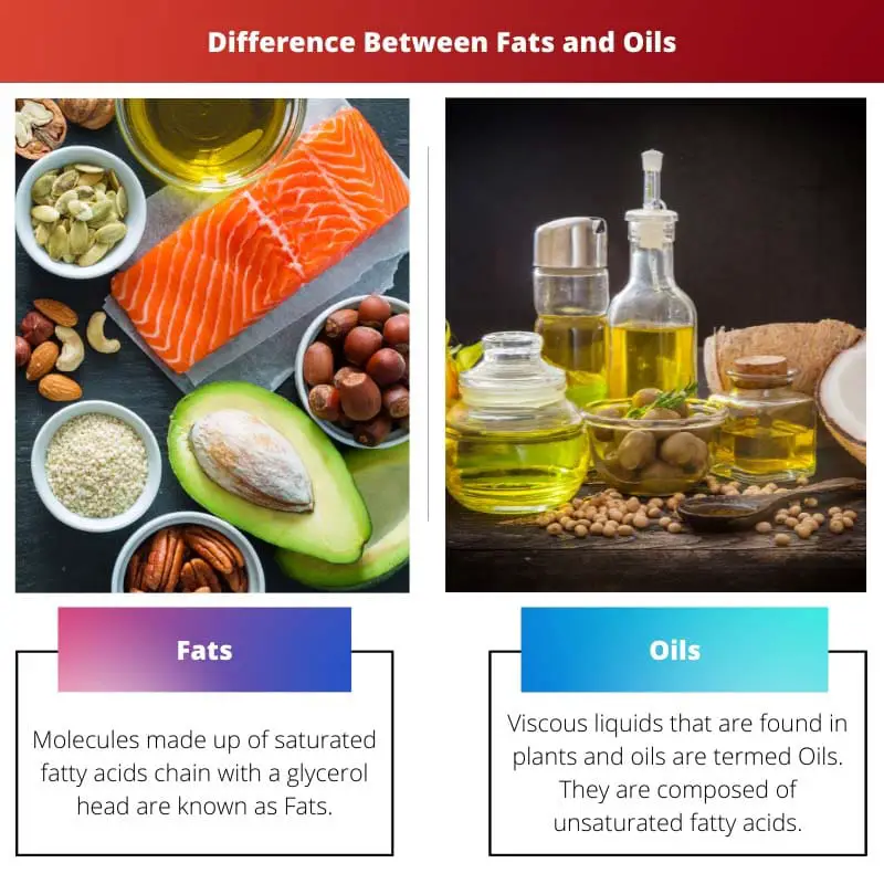 Difference Between Fats and Oils