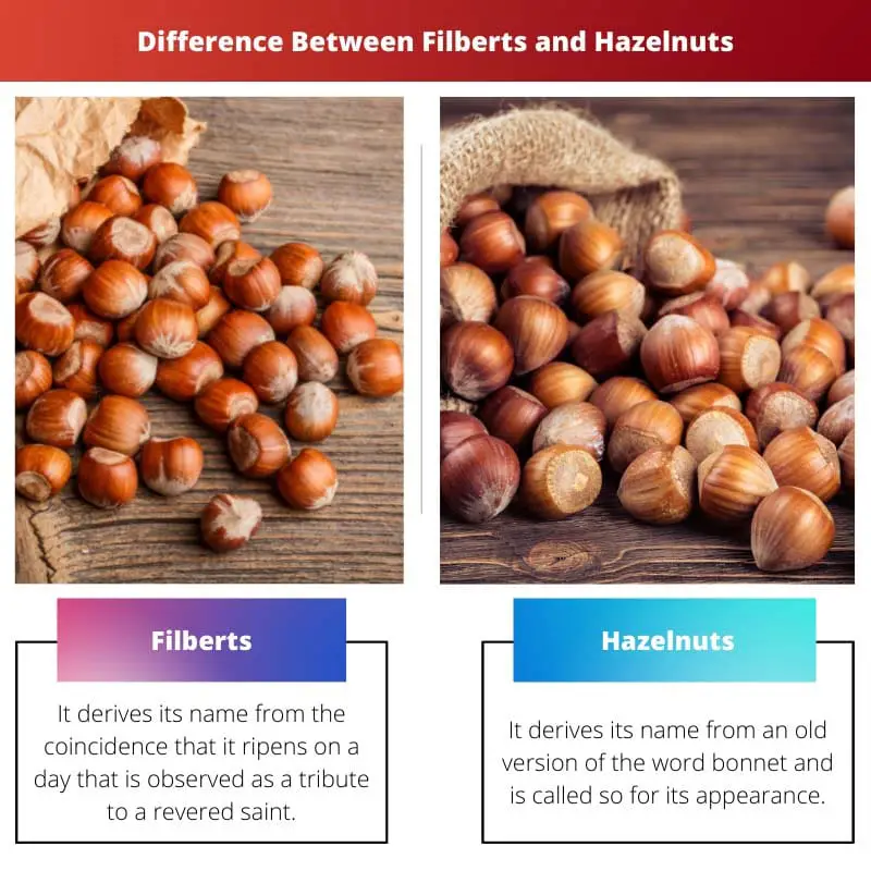 Difference Between Filberts and Hazelnuts