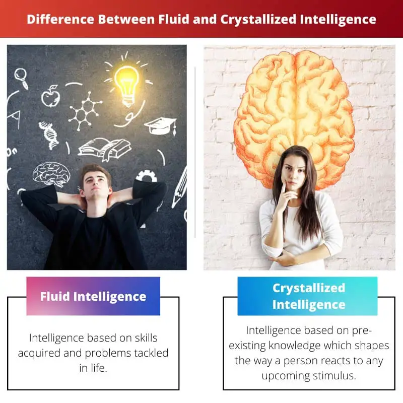 Difference Between Fluid and Crystallized Intelligence