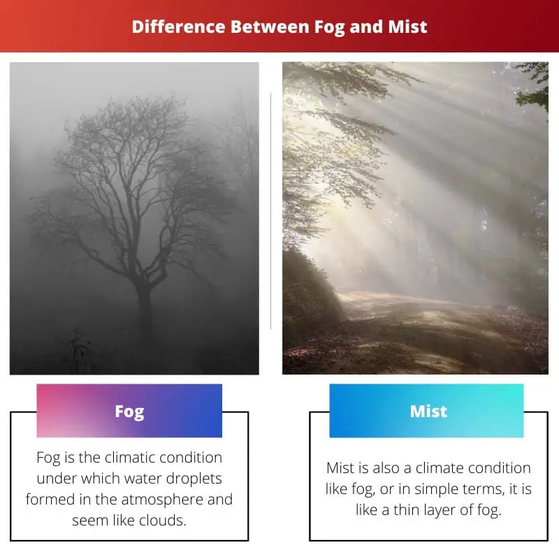 Difference Between Fog and Mist